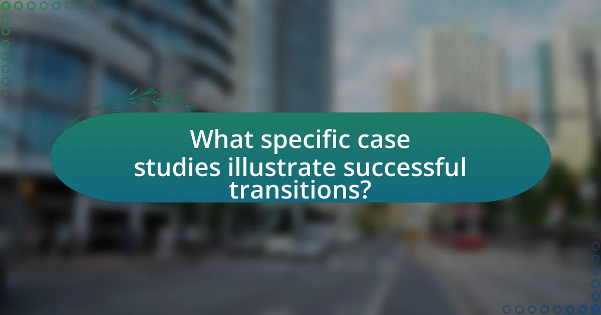 What specific case studies illustrate successful transitions?